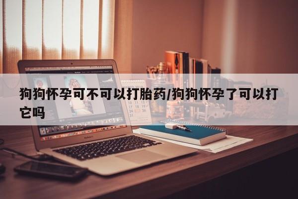 堕胎药网上购买狗狗怀孕可不可以打胎药/狗狗怀孕了可以打它吗