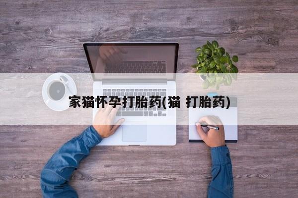 堕胎药网上购买家猫怀孕打胎药(猫 打胎药)